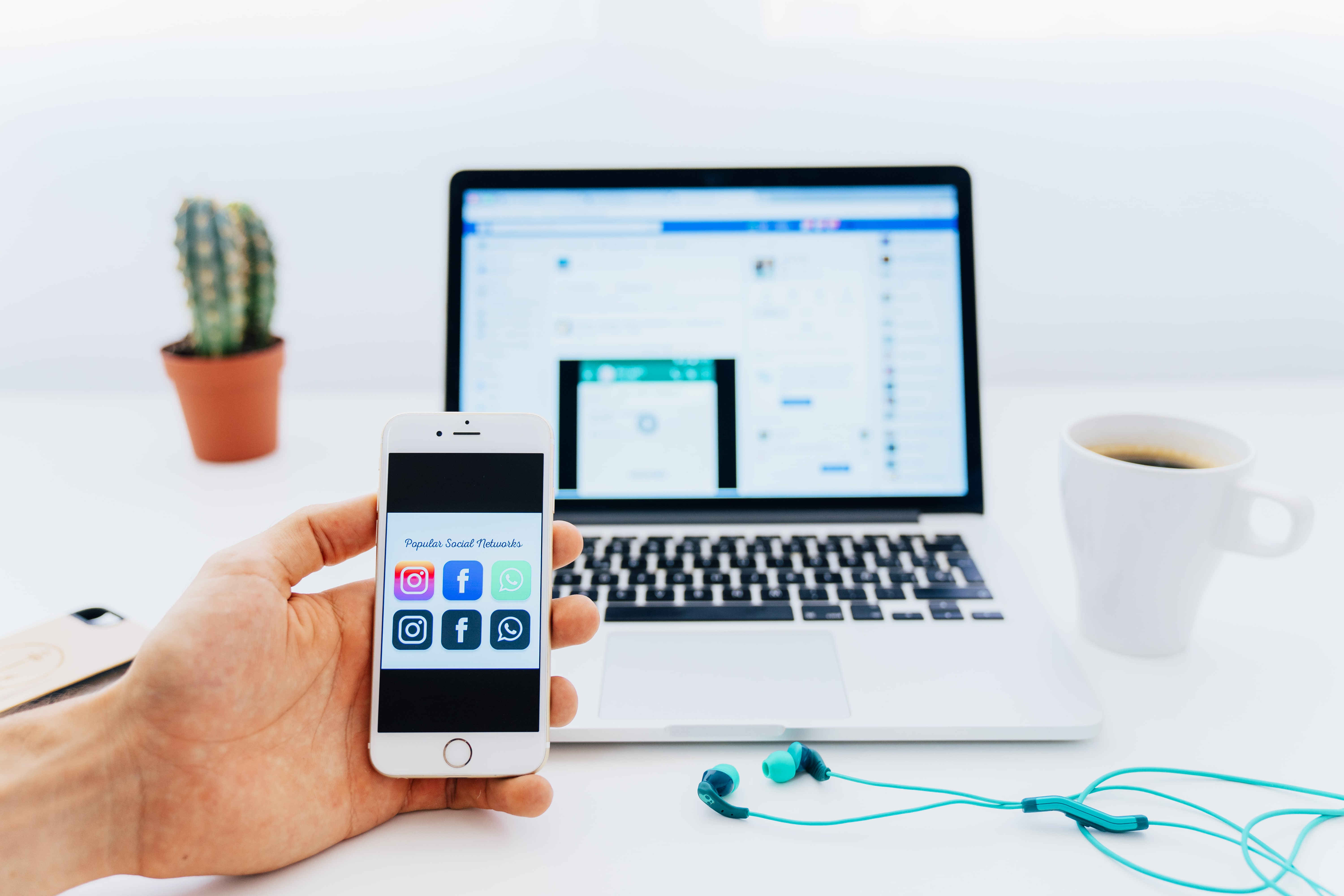 web development